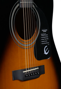 Fret Zealot + Epiphone DR-100 | Vintage Sunburst