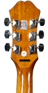 Fret Zealot + Epiphone DR-100 | Vintage Sunburst