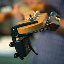 Fret Zealot for Bass Guitar