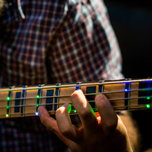 Fret Zealot for Bass Guitar