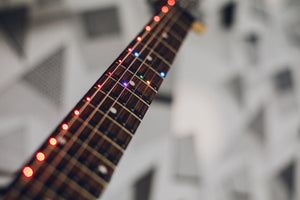 Fret Zealot + Epiphone Les Paul Special VE | Vintage Sunburst