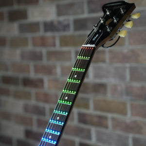 Fret Zealot + Gibson SG Standard Tribute | Cherry