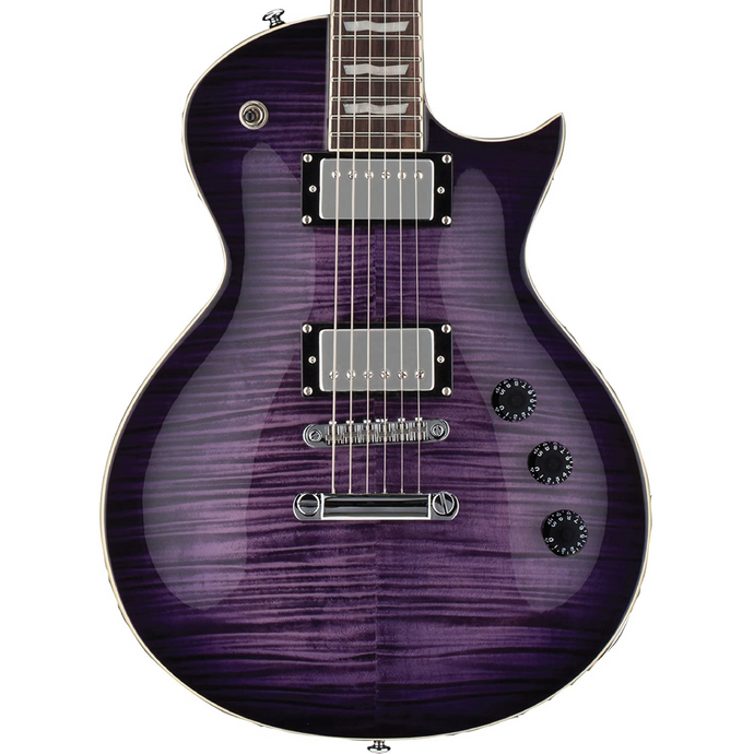 Fret Zealot + ESP LTD Eclipse EC-256 | Purple Burst